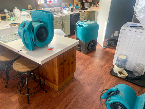 Best Residential water damage restoration  in Fife, WA
